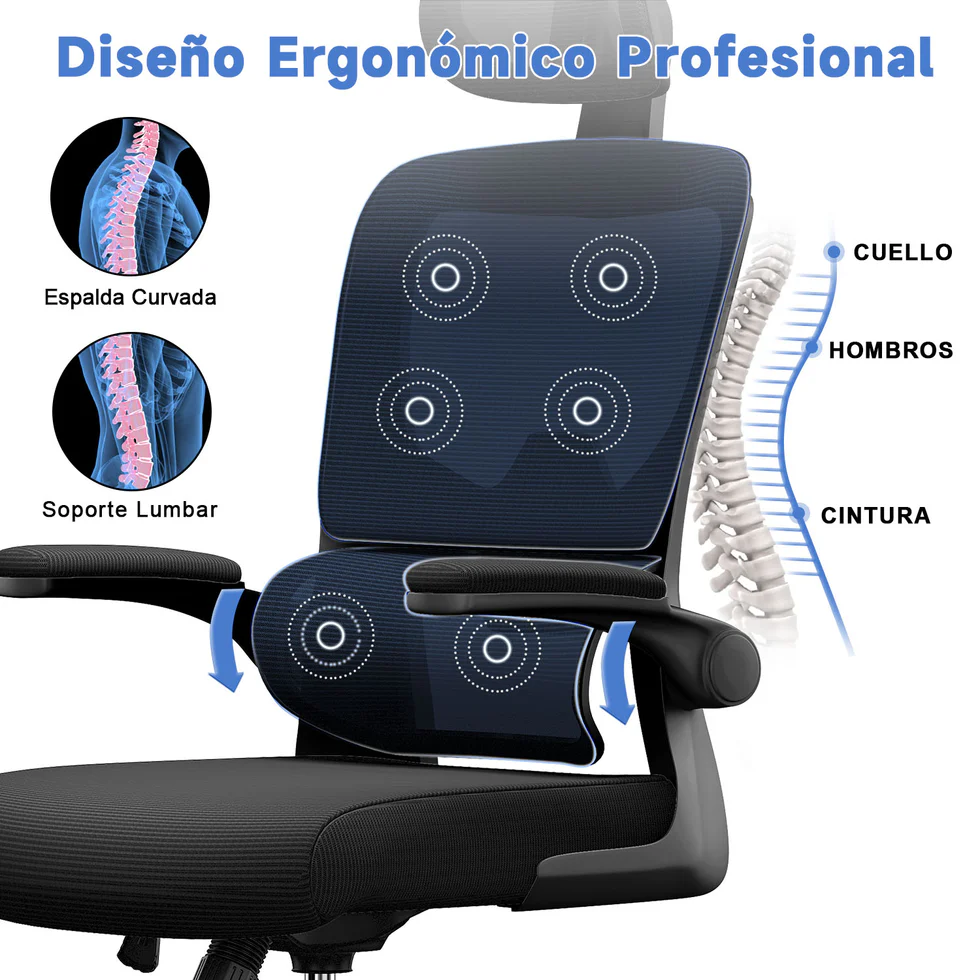 Características silla 1 de 2